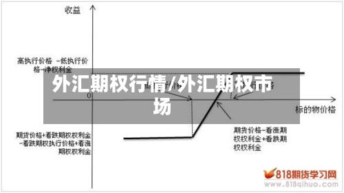 外汇期权行情/外汇期权市场-第1张图片