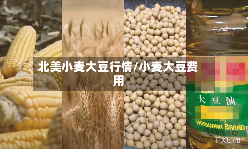 北美小麦大豆行情/小麦大豆费用-第1张图片