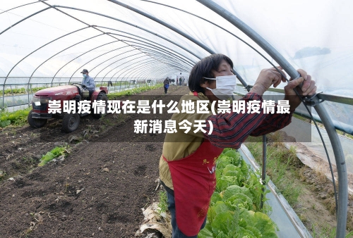 崇明疫情现在是什么地区(崇明疫情最新消息今天)-第2张图片