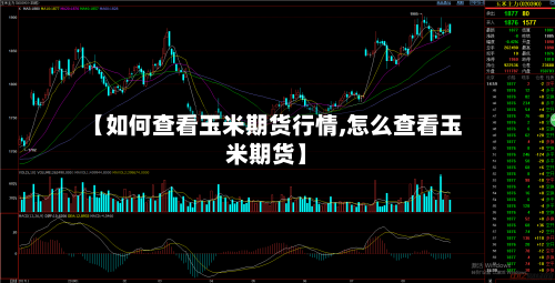 【如何查看玉米期货行情,怎么查看玉米期货】-第1张图片