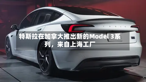 特斯拉在加拿大推出新的Model 3系列，来自上海工厂-第3张图片
