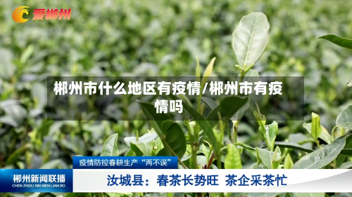 郴州市什么地区有疫情/郴州市有疫情吗-第1张图片