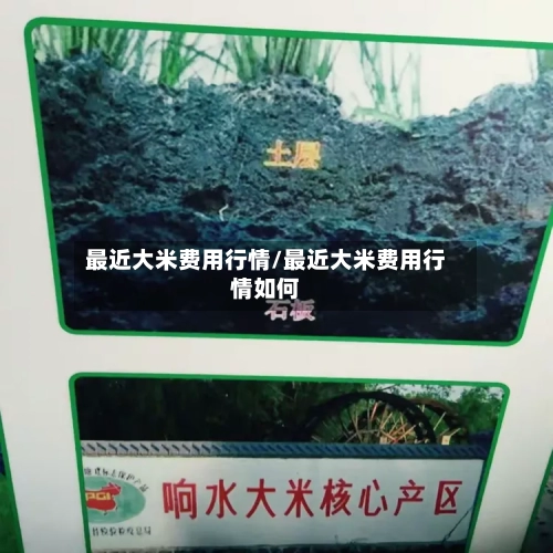 最近大米费用行情/最近大米费用行情如何-第1张图片