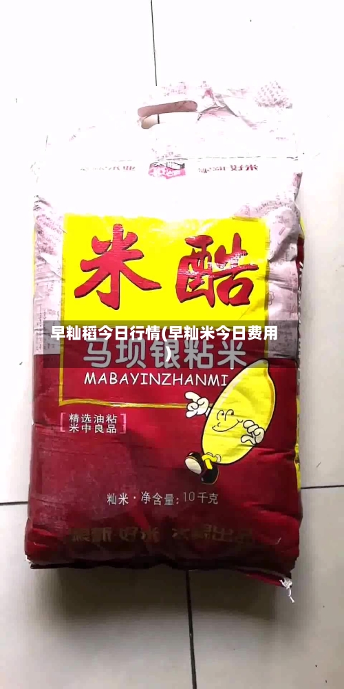 早籼稻今日行情(早籼米今日费用)-第1张图片