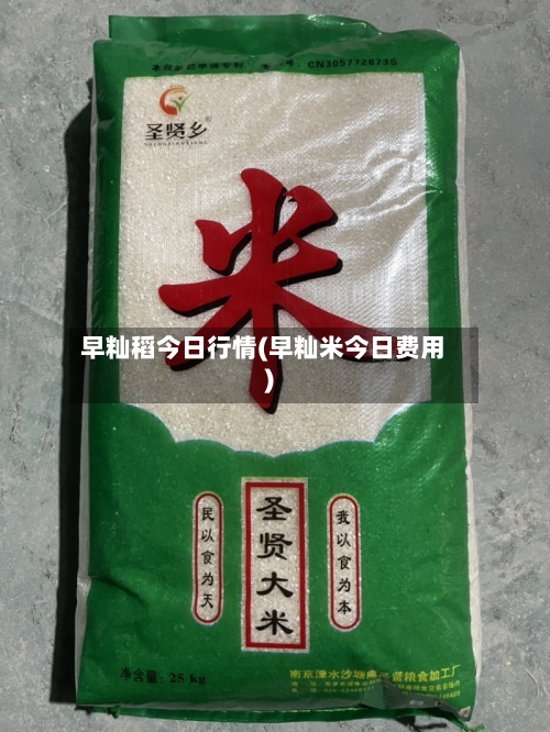 早籼稻今日行情(早籼米今日费用)-第3张图片