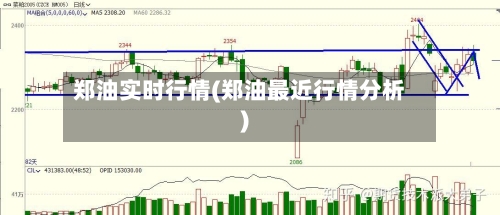 郑油实时行情(郑油最近行情分析)-第2张图片