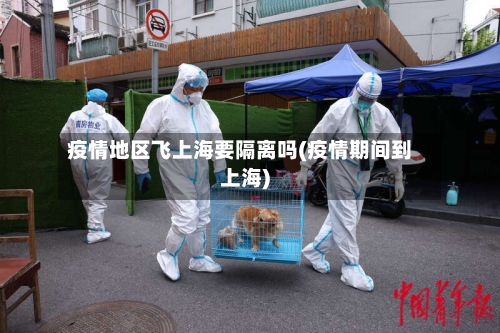 疫情地区飞上海要隔离吗(疫情期间到上海)-第1张图片