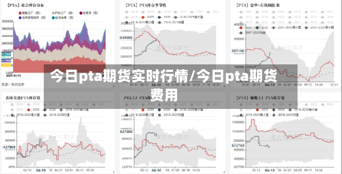 今日pta期货实时行情/今日pta期货费用-第1张图片