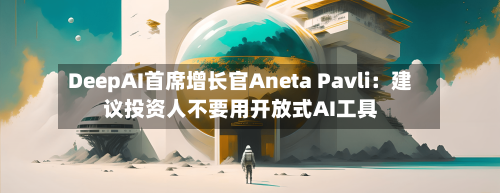 DeepAI首席增长官Aneta Pavli：建议投资人不要用开放式AI工具-第2张图片