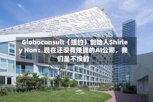 Globoconsult（纽约）创始人Shirley Hon：现在还没有赚钱的AI公司，我们是不投的-第3张图片