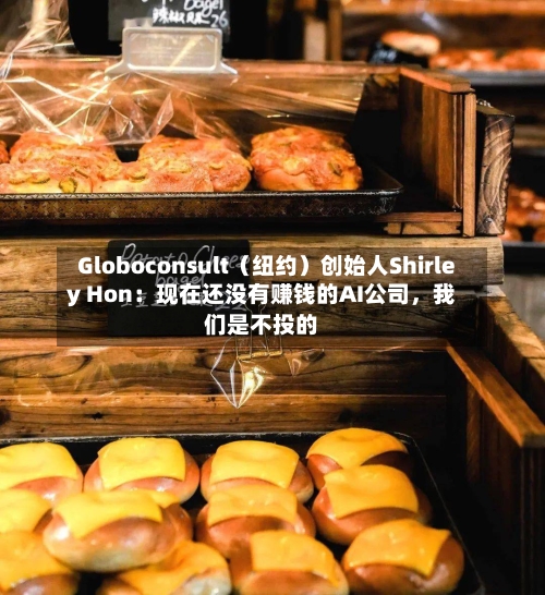 Globoconsult（纽约）创始人Shirley Hon：现在还没有赚钱的AI公司	，我们是不投的-第2张图片