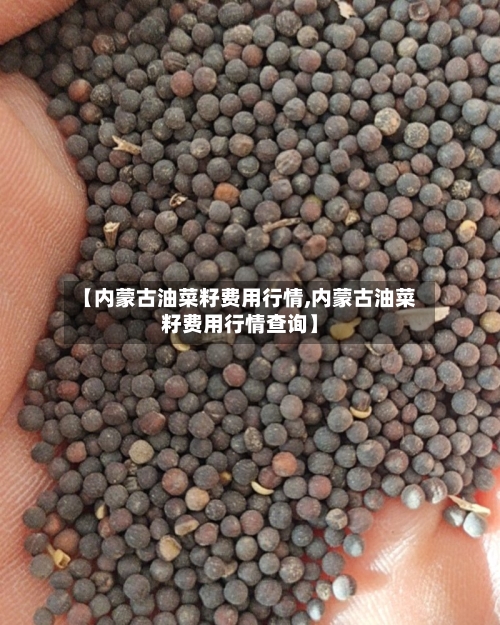 【内蒙古油菜籽费用行情,内蒙古油菜籽费用行情查询】-第3张图片