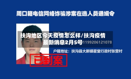 扶沟地区今天疫情怎么样/扶沟疫情最新消息2月5号-第1张图片
