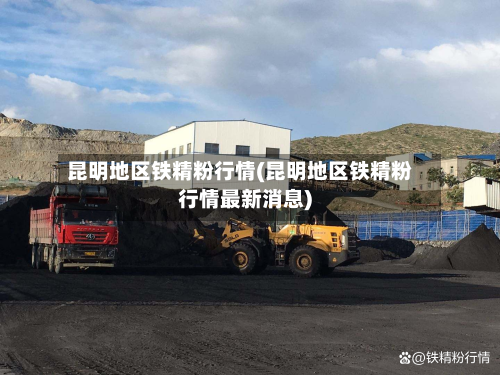 昆明地区铁精粉行情(昆明地区铁精粉行情最新消息)-第2张图片