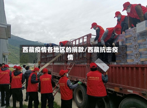 西藏疫情各地区的捐款/西藏抗击疫情-第1张图片
