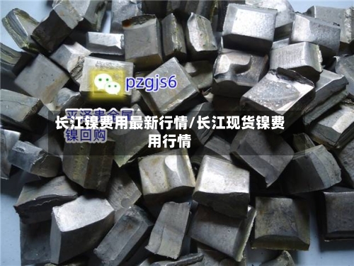 长江镍费用最新行情/长江现货镍费用行情-第1张图片