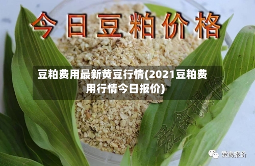 豆粕费用最新黄豆行情(2021豆粕费用行情今日报价)-第1张图片