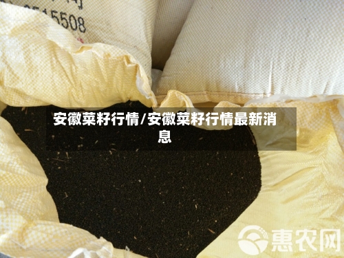安徽菜籽行情/安徽菜籽行情最新消息-第1张图片
