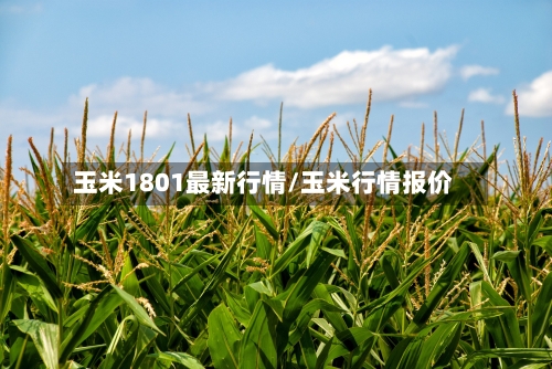 玉米1801最新行情/玉米行情报价-第3张图片