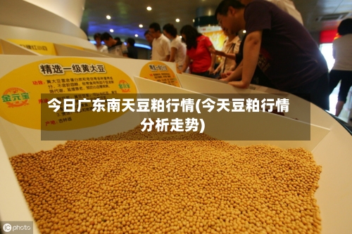 今日广东南天豆粕行情(今天豆粕行情分析走势)-第2张图片