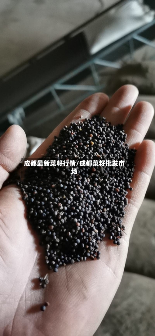 成都最新菜籽行情/成都菜籽批发市场-第1张图片