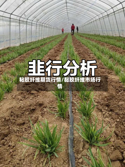 粘胶纤维期货行情/黏胶纤维市场行情-第2张图片