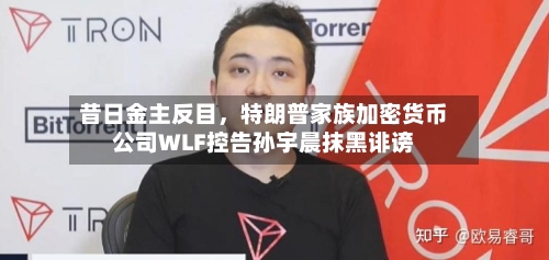 昔日金主反目，特朗普家族加密货币公司WLF控告孙宇晨抹黑诽谤-第3张图片