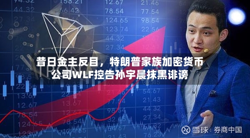 昔日金主反目，特朗普家族加密货币公司WLF控告孙宇晨抹黑诽谤-第2张图片