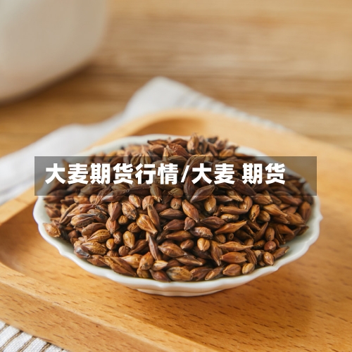 大麦期货行情/大麦 期货-第1张图片