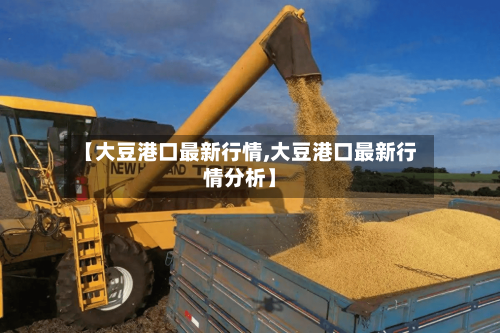 【大豆港口最新行情,大豆港口最新行情分析】-第1张图片