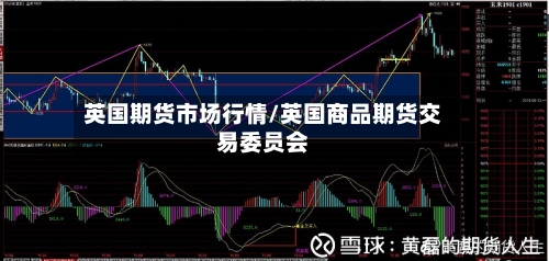 英国期货市场行情/英国商品期货交易委员会-第1张图片