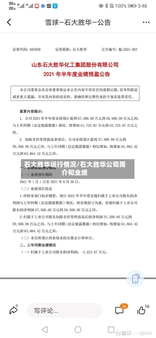石大胜华运行情况/石大胜华公司简介和业绩-第1张图片