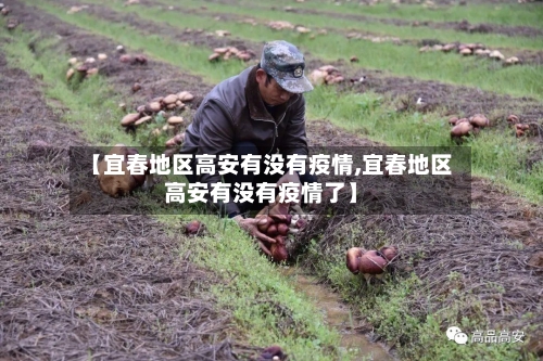 【宜春地区高安有没有疫情,宜春地区高安有没有疫情了】-第1张图片