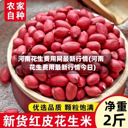 河南花生费用网最新行情(河南花生费用最新行情今日)-第1张图片