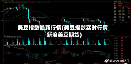 美豆指数最新行情(美豆指数实时行情新浪美豆期货)-第1张图片