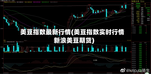 美豆指数最新行情(美豆指数实时行情新浪美豆期货)-第2张图片