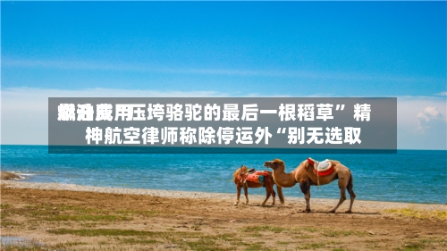 燃油费用飙升成“压垮骆驼的最后一根稻草	” 精神航空律师称除停运外“别无选取”-第1张图片