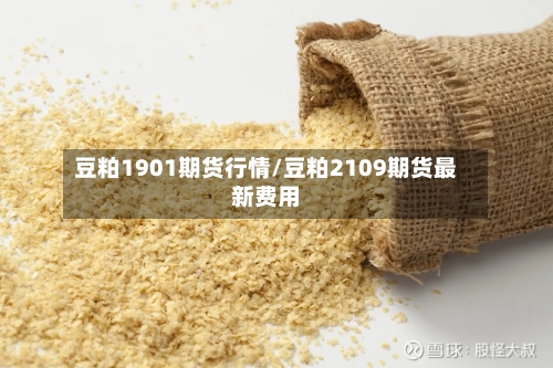 豆粕1901期货行情/豆粕2109期货最新费用-第1张图片