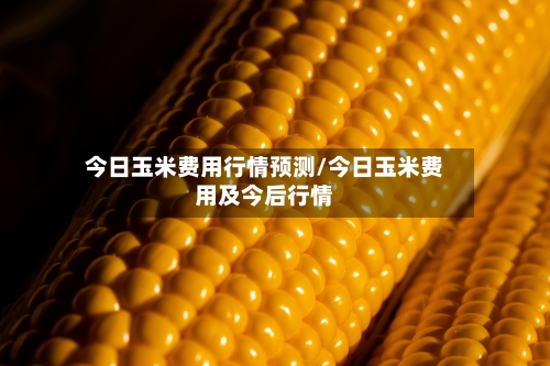 今日玉米费用行情预测/今日玉米费用及今后行情-第1张图片