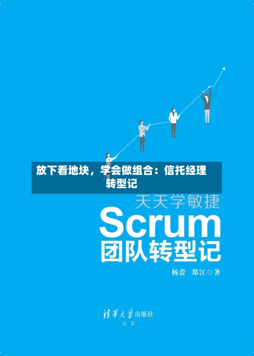 放下看地块	，学会做组合：信托经理转型记-第1张图片