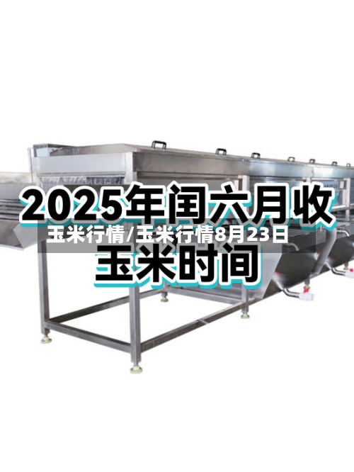 玉米行情/玉米行情8月23日-第3张图片