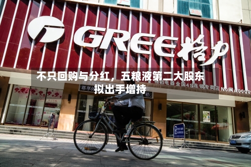 不只回购与分红，五粮液第二大股东拟出手增持-第3张图片
