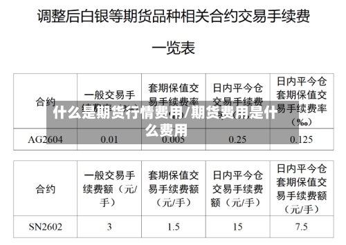 什么是期货行情费用/期货费用是什么费用-第2张图片