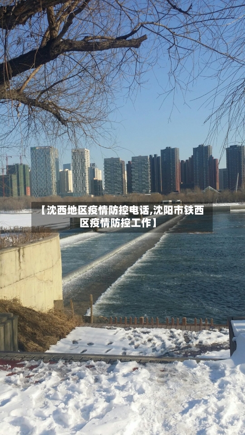 【沈西地区疫情防控电话,沈阳市铁西区疫情防控工作】-第3张图片