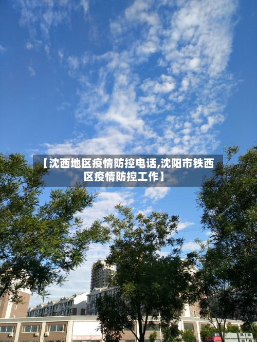 【沈西地区疫情防控电话,沈阳市铁西区疫情防控工作】-第2张图片