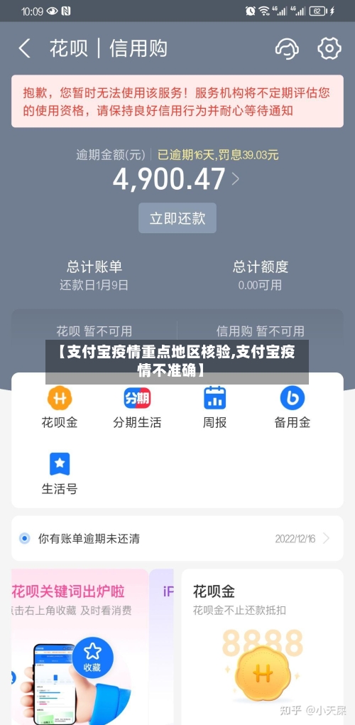 【支付宝疫情重点地区核验,支付宝疫情不准确】-第1张图片