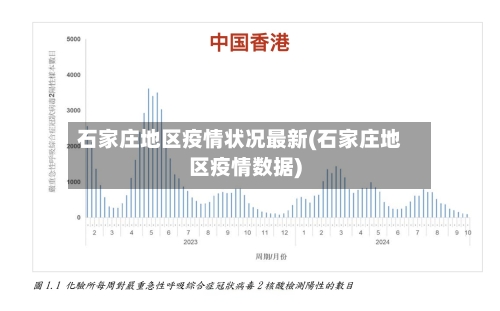 石家庄地区疫情状况最新(石家庄地区疫情数据)-第2张图片
