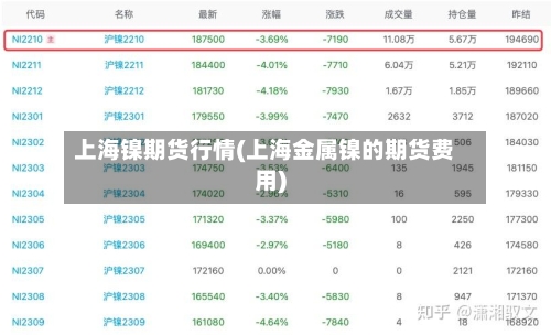 上海镍期货行情(上海金属镍的期货费用)-第1张图片