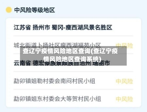查辽宁疫情风险地区查询(查辽宁疫情风险地区查询系统)-第2张图片