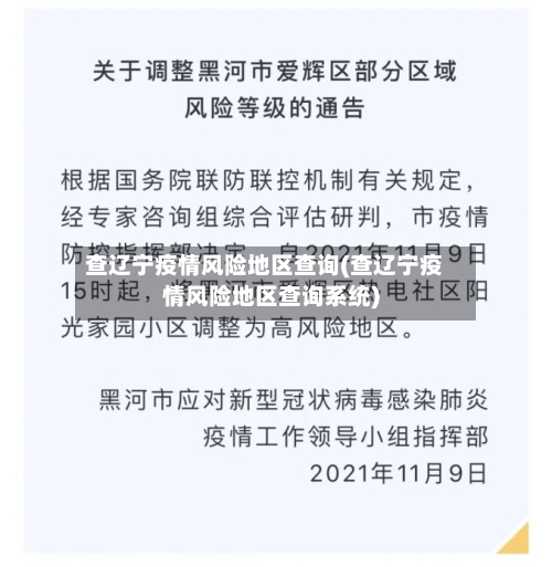 查辽宁疫情风险地区查询(查辽宁疫情风险地区查询系统)-第1张图片